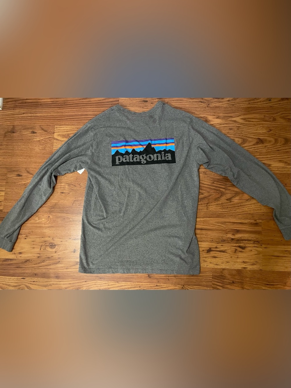 Patagonia Heather Gray Short-Sleeve Logo Tee with Multicolor Stripe Graphic